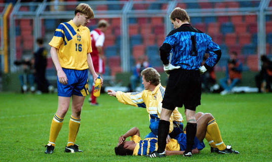 Martin Dahlin, Sverige