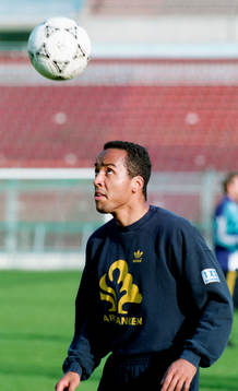 Martin Dahlin, Sverige