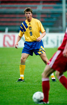 Roger Ljung, Sverige