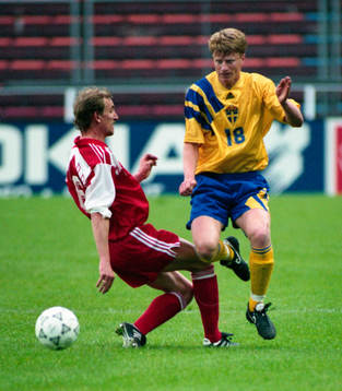 Stefan Pettersson, Sverige