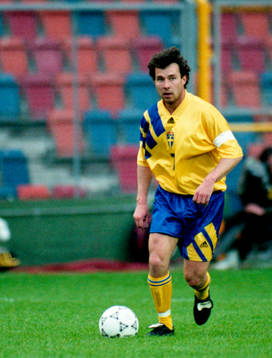 Stefan Rehn, Sverige