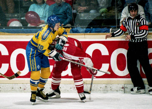 Johan Garpenlöv, Sverige