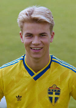 Niclas Alexandersson, Sverige