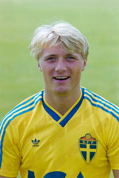Magnus Johansson, Sverige