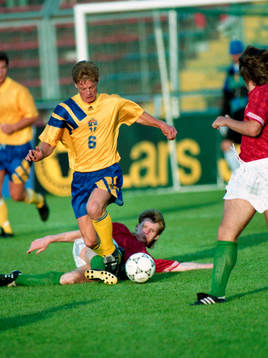 Stefan Schwarz