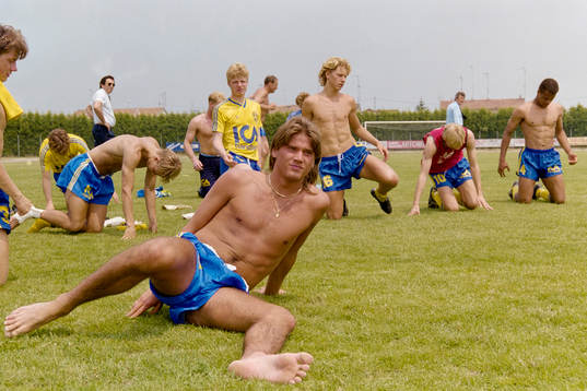 Jonny Rödlund, Sverige