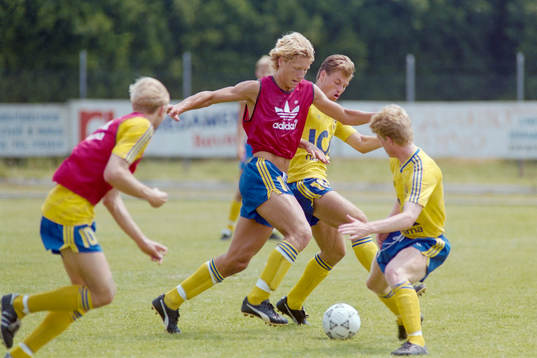Jesper Jansson, Sverige