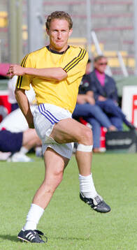 Football, Uefa EURO 1992 in Sweden, Group 1, France,