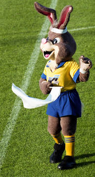 Maskot på planen