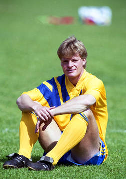 Stefan Schwarz, Sverige