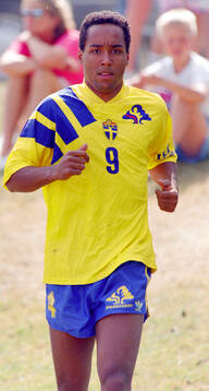 Swedens Martin Dahlin at training camp in Gimo