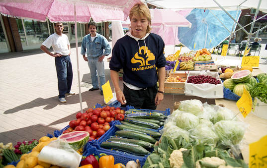 Tomas Brolin, Sverige