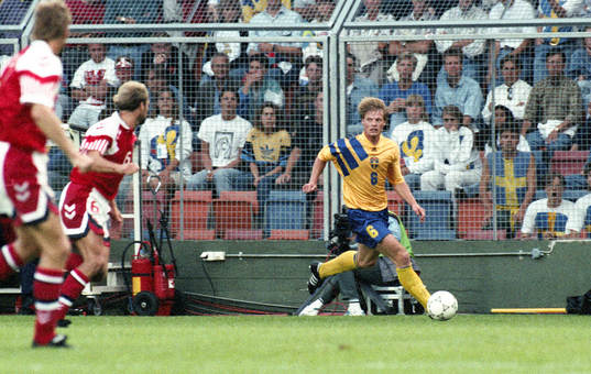 Stefan Schwarz, Sverige