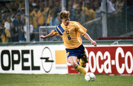 Stefan Schwarz, Sverige