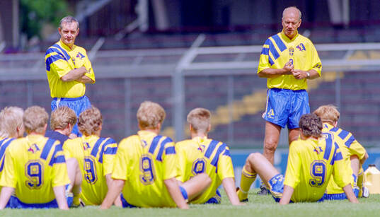 Football, Uefa EURO 1992, Sweden, preview