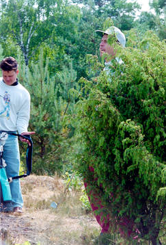 Ulf Samuelsson spelar golf i Halmstad