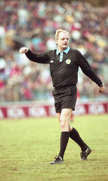 Domare Bo Persson