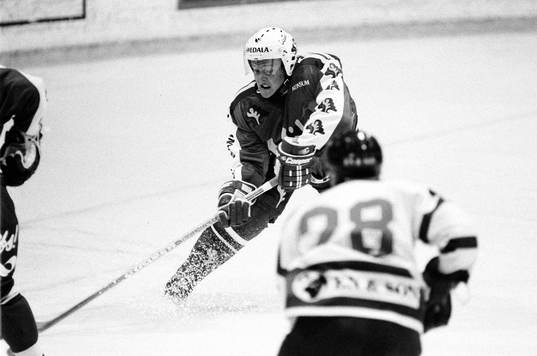 Ishockey, Malmö IF - Salavat Julaev