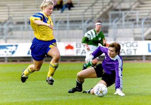 Anneli Andelén, Sverige