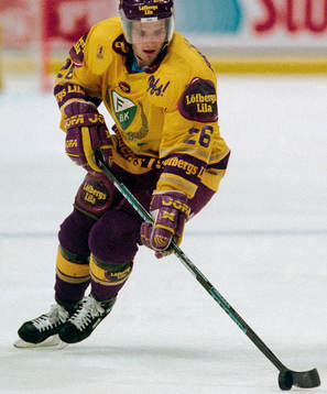Niklas Brännström, Färjestad