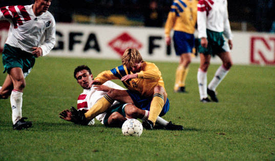 Stefan Schwarz