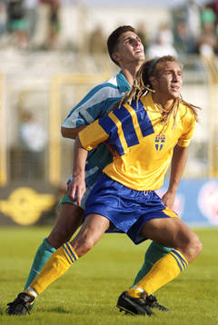 Henrik Larsson, Sverige