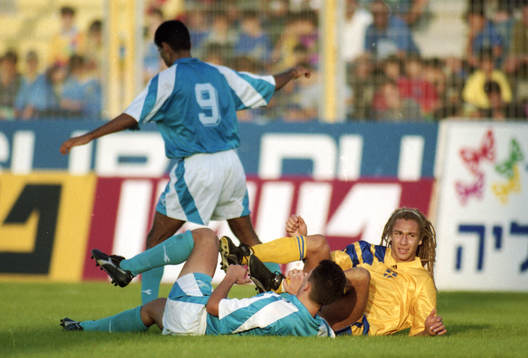 Henrik Larsson, Sverige