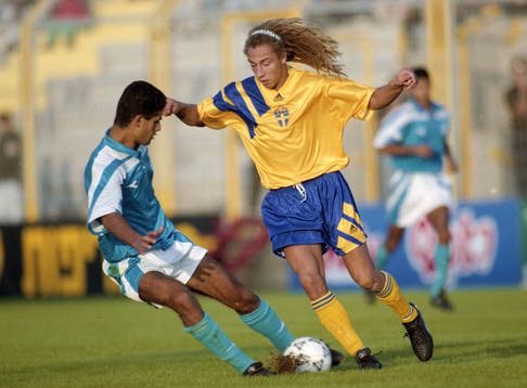 Henrik Larsson, Sverige