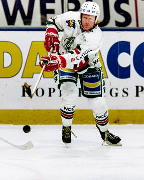 Stefan Elvenes, Rögle