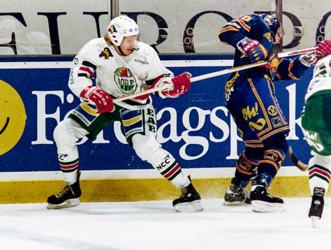 Stefan Elvenes, Rögle