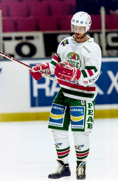 Ishockey, Elitserien, Djurgården - Rögle, 0-2. Jan