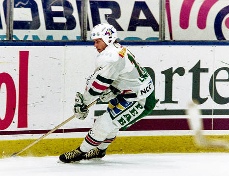 Peter Lundmark, Rögle