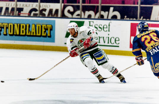 Ishockey, Elitserien, Djurgården - Rögle, 0-2. Mats