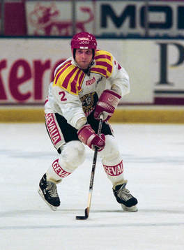Bedrich Scerban, Brynäs