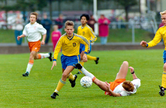 Fredrik Ljungberg, Sverige