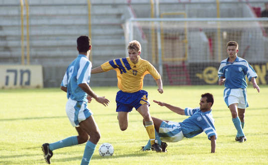 Niclas Alexandersson, Sverige