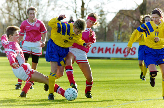 Lena Videkull, Sverige