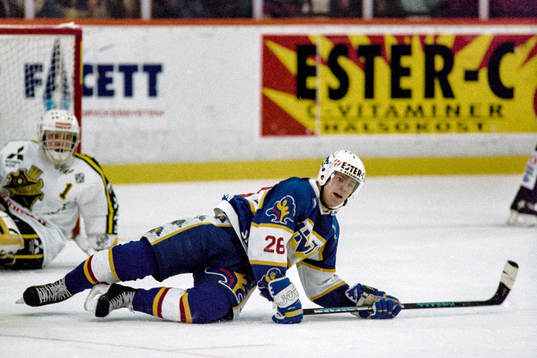 Stefan Falk, HV71
