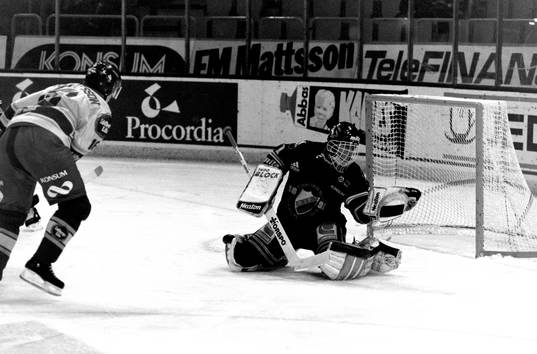 Bengt-Åke Gustafsson, Färjestad framför djurgårdens
