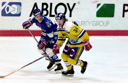 Stefan Elvenes, Sverige