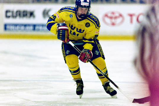 Mikael Magnusson, Sverige