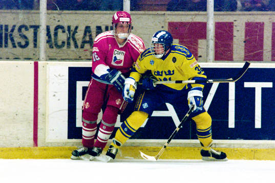 Niklas Sundblad, Sverige