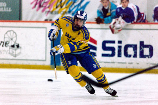 Niklas Sundström, Sverige