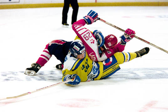 Charles Berglund, Sverige