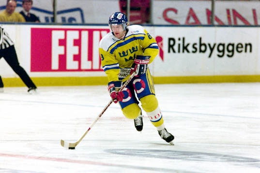 Kenneth Kennholt, Sverige