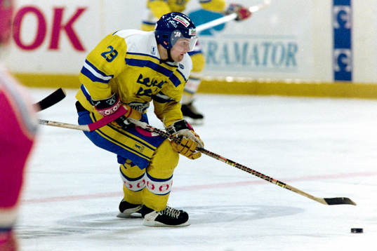 Mikael Renberg, Sverige