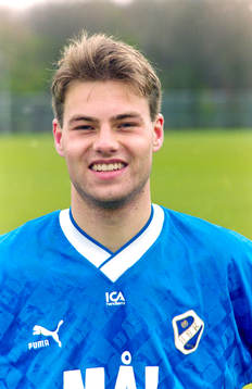 Niklas Gudmundsson, Halmstad