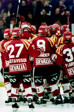 Brynäs jublar tillsammans