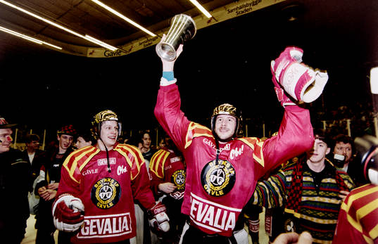 Tom Bissett, Brynäs