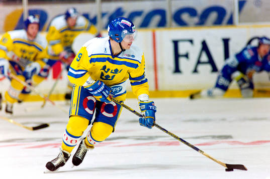 Thomas Rundqvist, Sverige